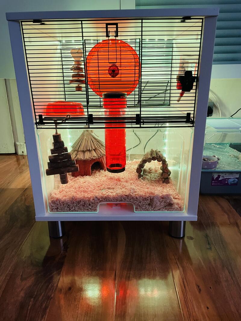 A hamster cage inside a room