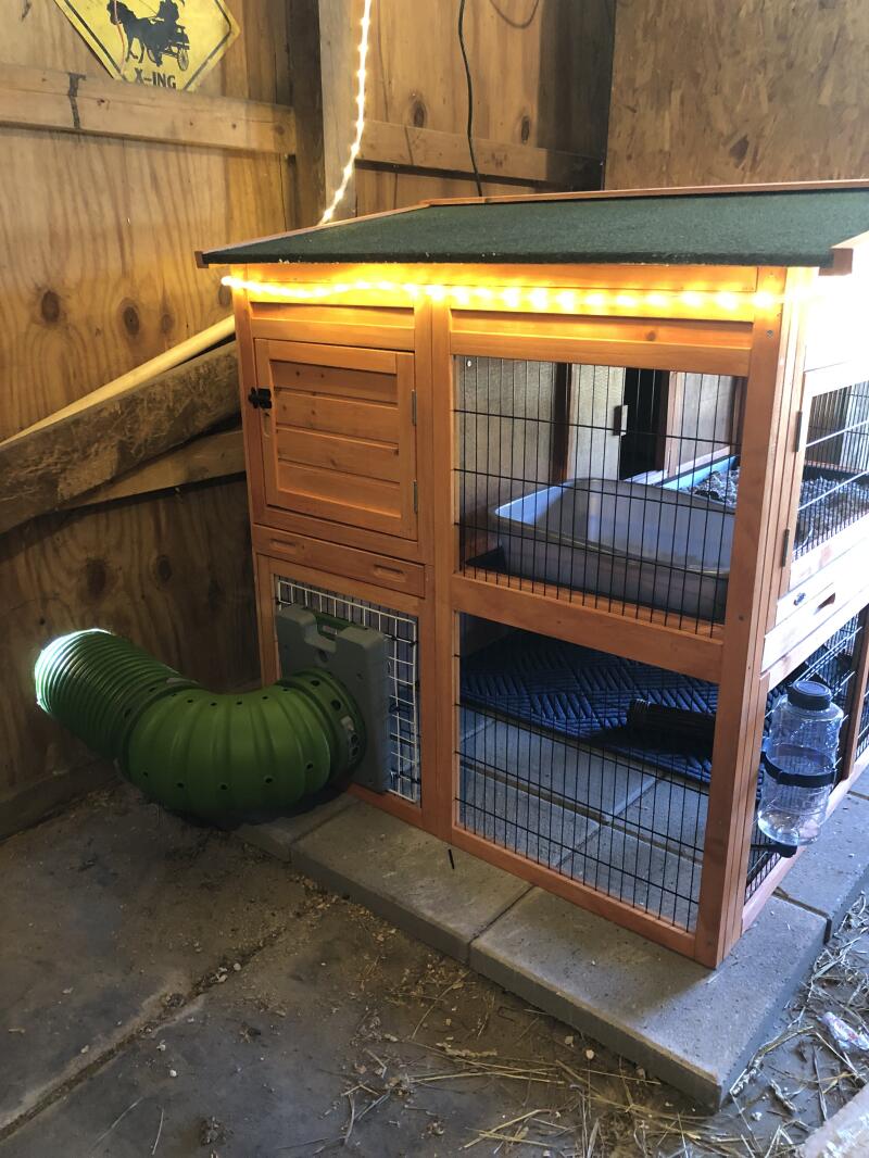 Omlet Zippi Rabbit Tunnel Connected to Hutch