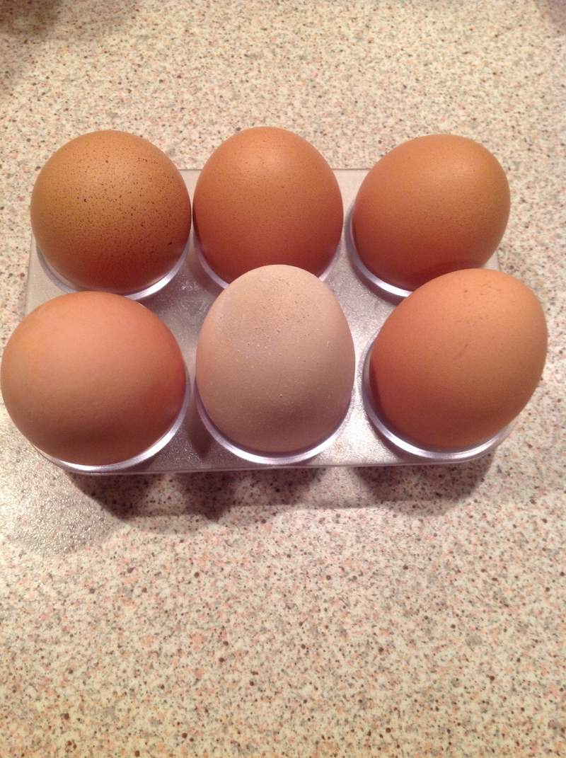 Six fresh eggs on a holder