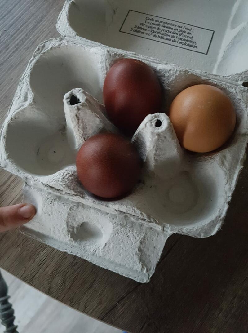 Eieren in eierdoos