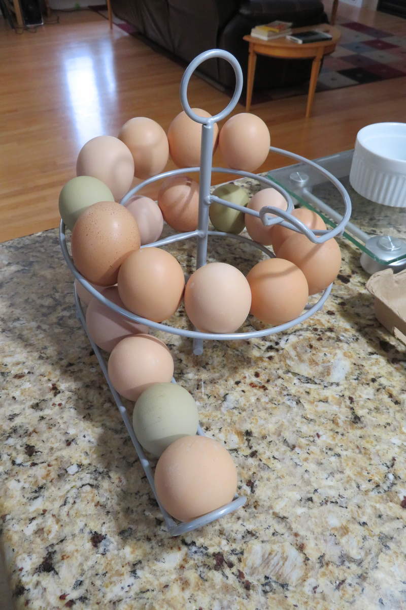 Una huevera con muchos huevos bonitos.