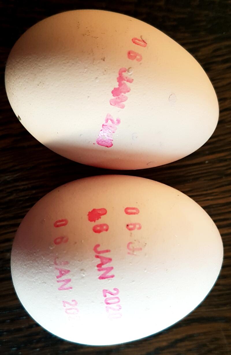 Eggs with Dates Stamped