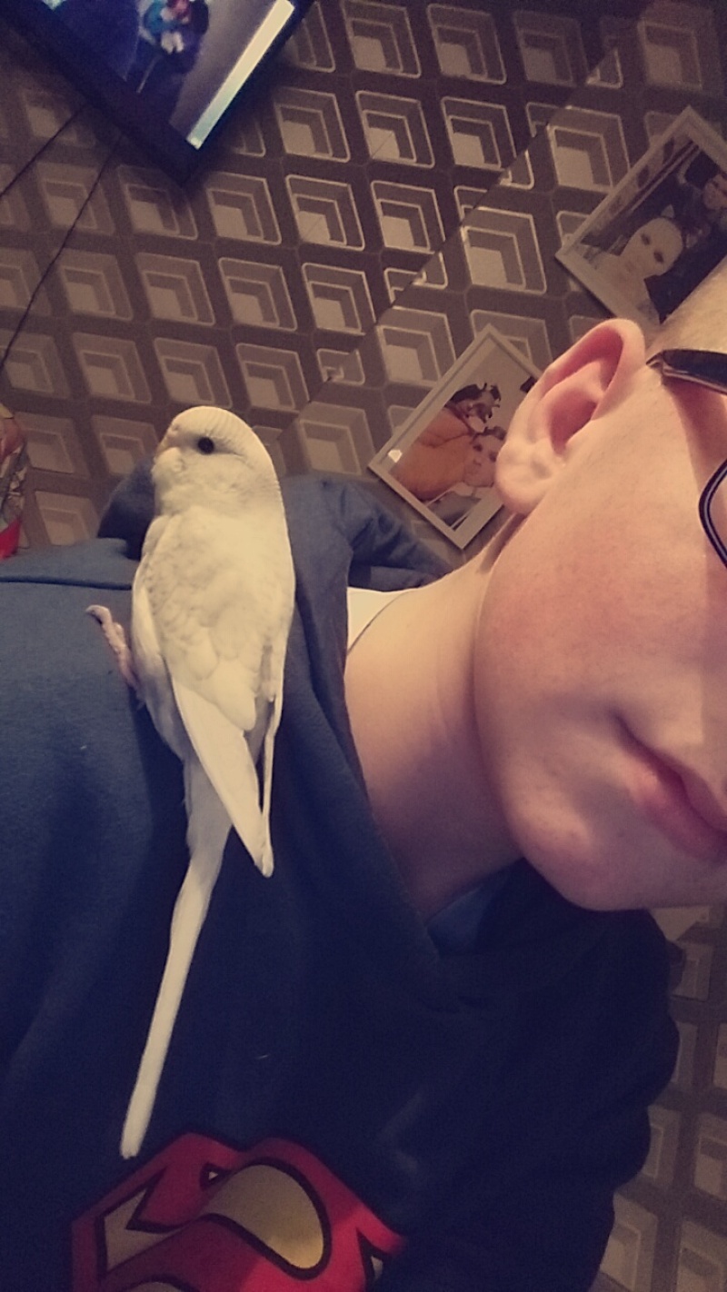 Me and the budgie (polly) relaxing