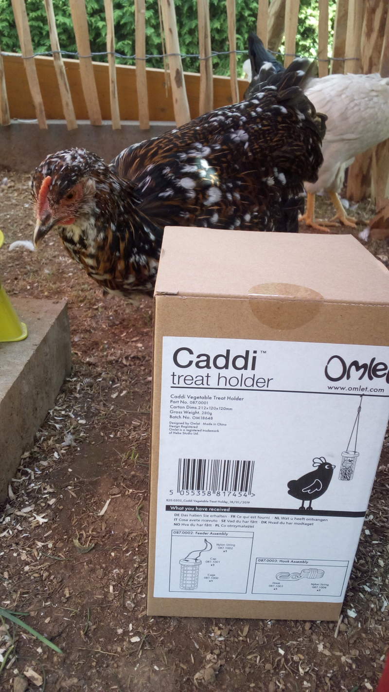 The caddi treat holder for chickens by Omlet.