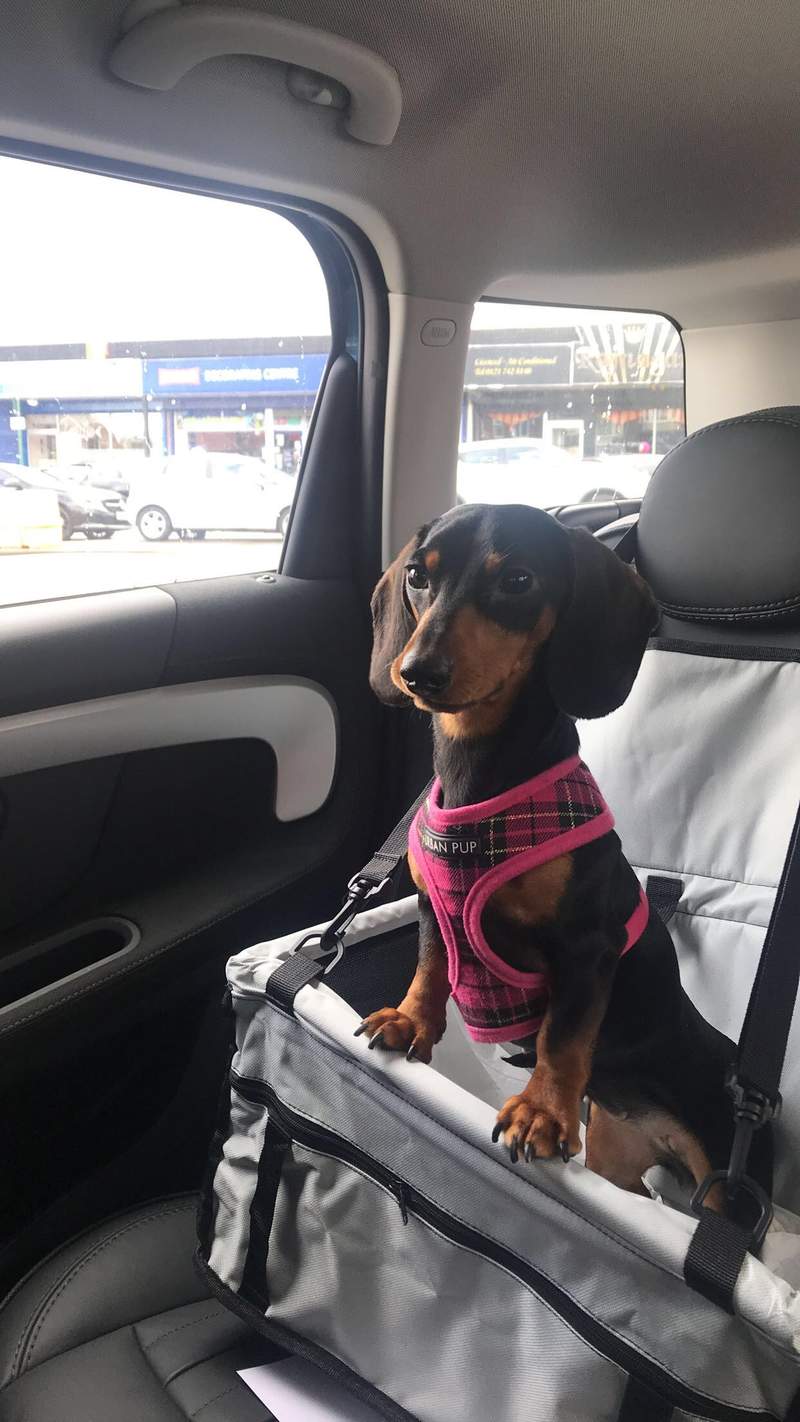 Elsa enjoys her new car seat so much