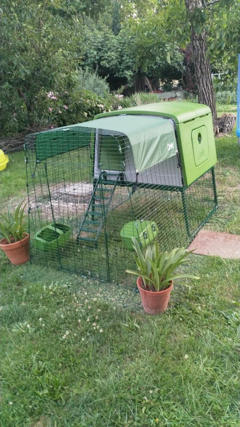 A green chicken coop attached to a 1 meter run