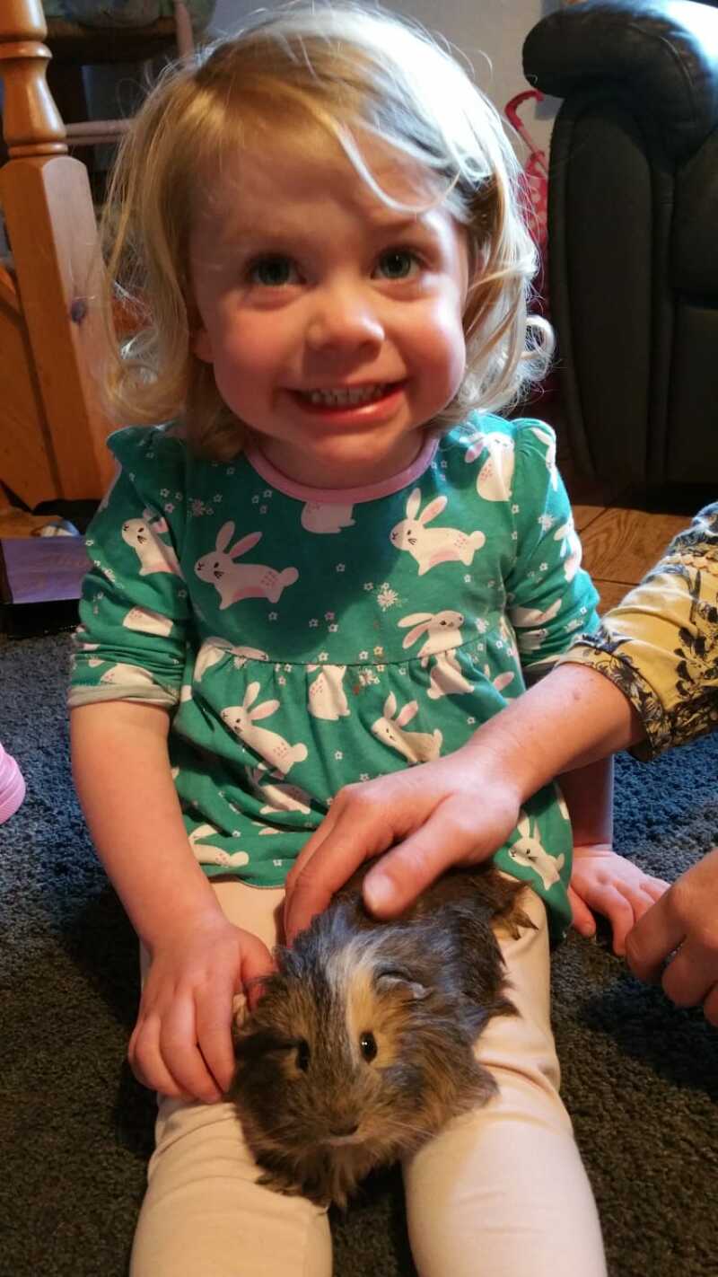 A little girl enjoying having a guinea pig on her lap