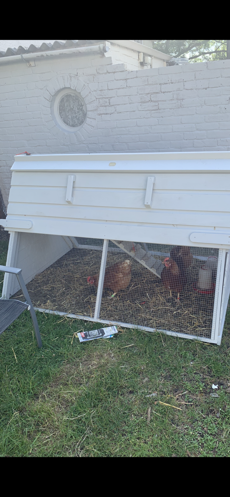 A chicken coop and run painted in white