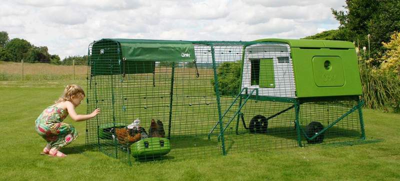 a young girl looking at chickens inside a run with a large green cube attached and a cover and grub feeders