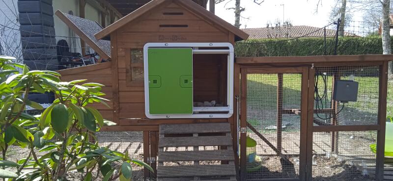 A green automatic chicken coop door mounted on a wooden coop