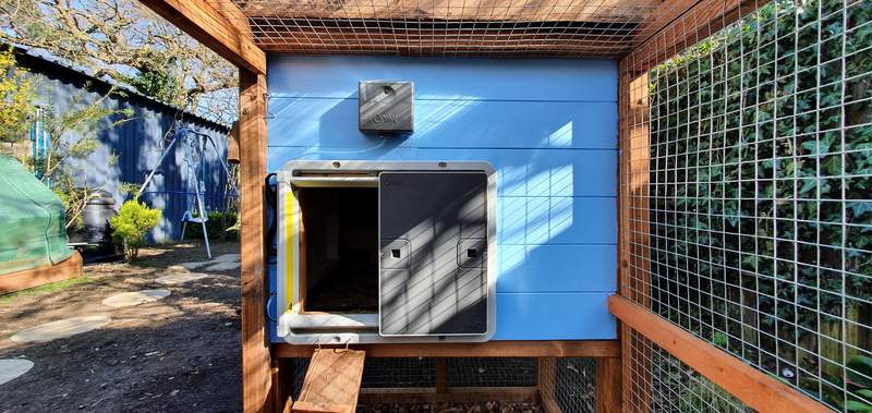 A grey automatic door opener on the blue side of a wooden chicken coop