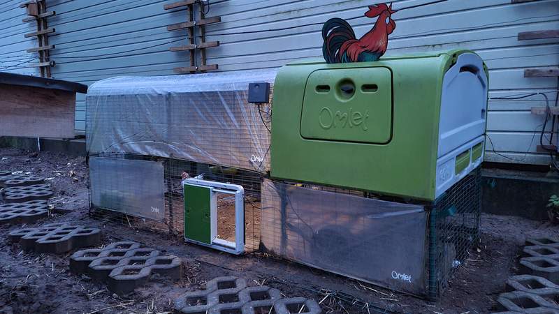 Green Eglu Cube Large Chicken Coop and Run with Omlet Green Automatic Chicken Coop Door