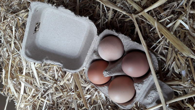 Quattro uova in una scatola di uova Omlet.