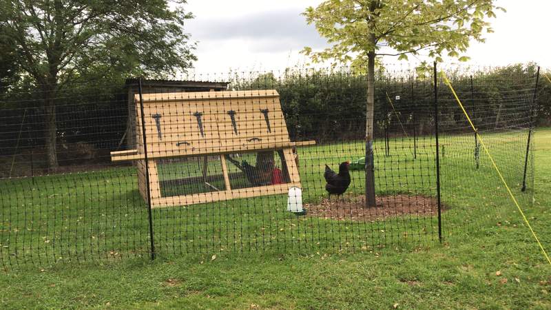 I love our new Omlet fencing.   It keeps our chicken safe and sounds with lots of space.
