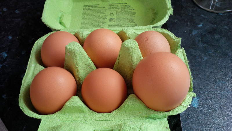 Six eggs inside a case