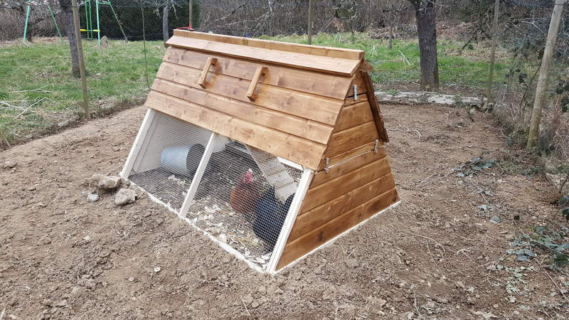 Some chickens in their wooden coop