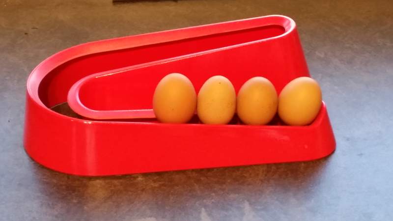Permette di conservare facilmente le uova in ordine di deposizione