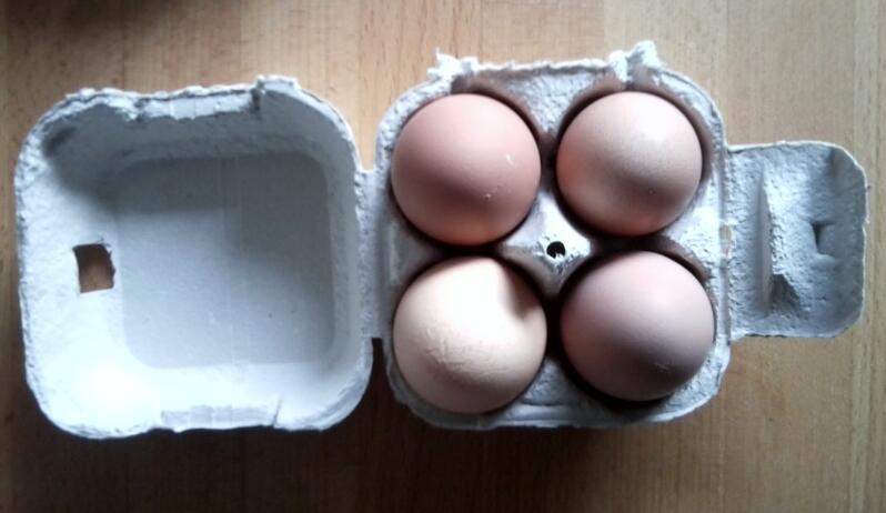 Open egg box with 4 eggs