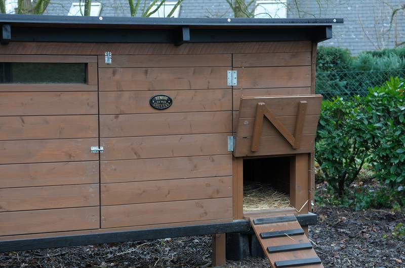 A wooden chicken coop with a ramp up to the door