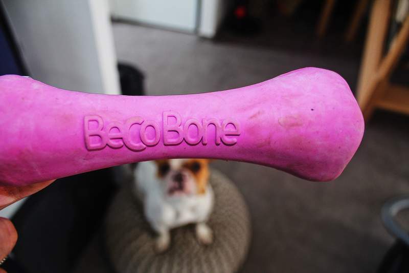 Pink bone