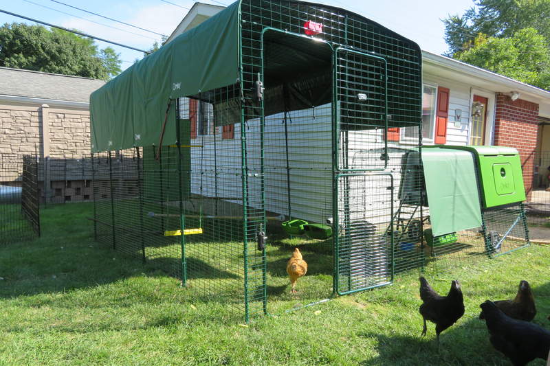 A large covered run connected to a chicken coop