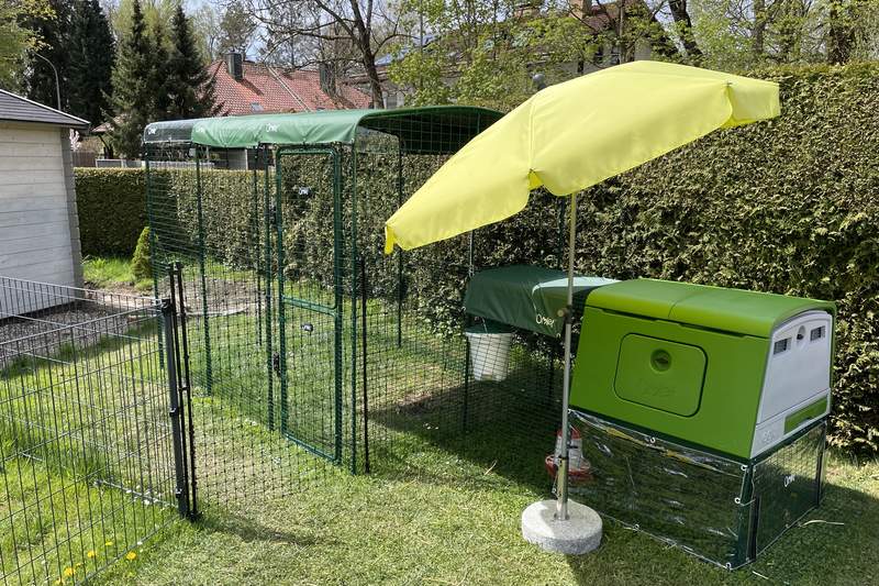A green chicken coop linked to a large run