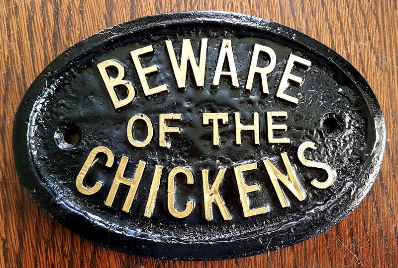 Black beware of the chickens sign with white wrighting
