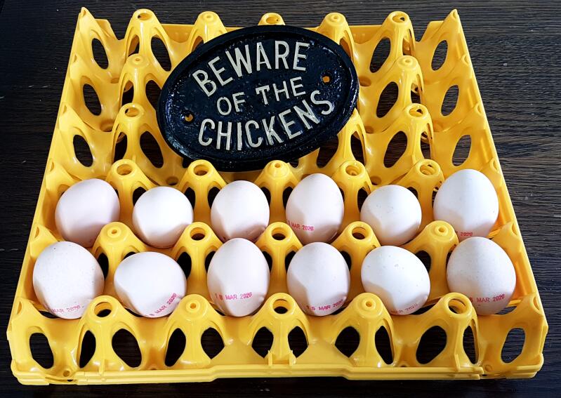 Lots of eggs in an egg tray with a beware of the chickens sign next to them