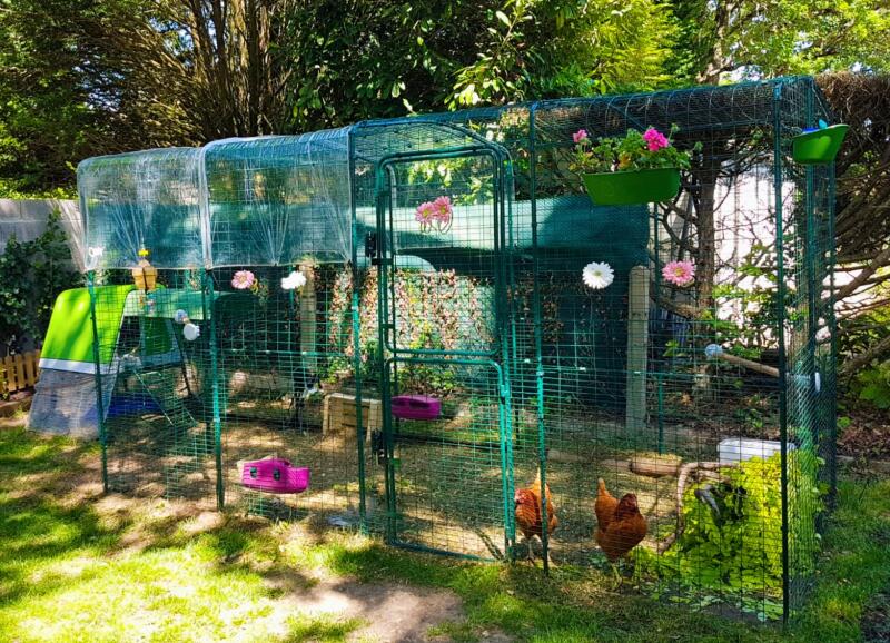 A large chicken run in a garden connected to a green coop
