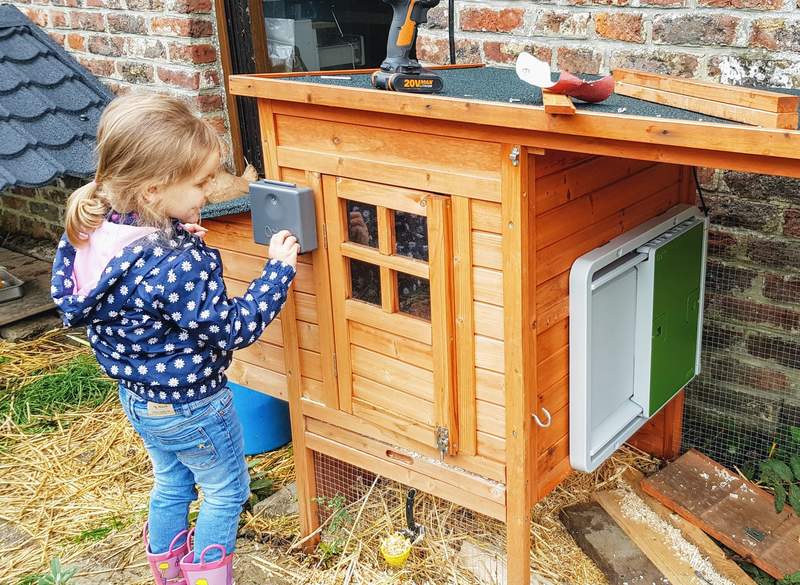 Omlet Green Automatic Chicken Coop Door Attached to Wooden Chicken Coop with Girl adjusting Settings