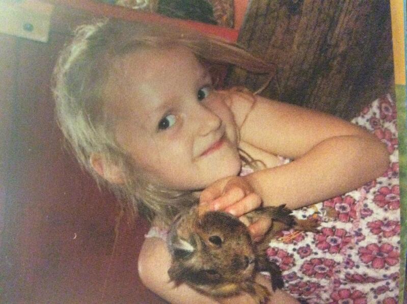 A agouti guinea pig being held by a little girl.