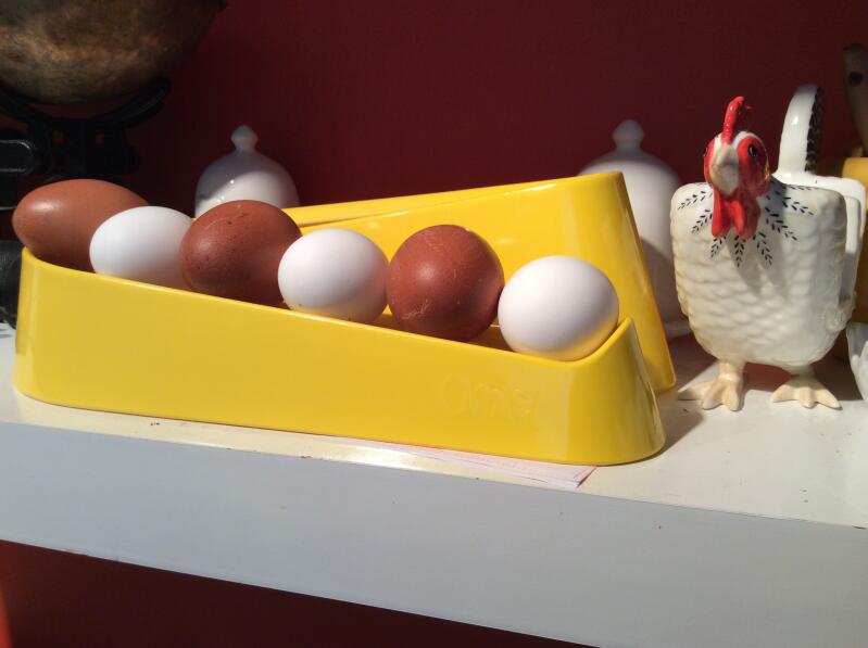 ¡huevos alternativos appenzeller y welsummer!