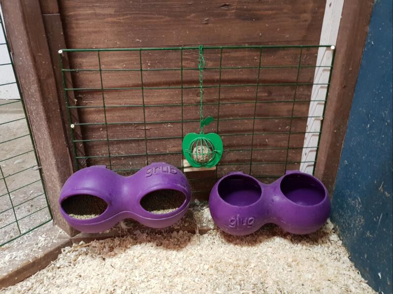 Purple glug and grub feeder and drinkers