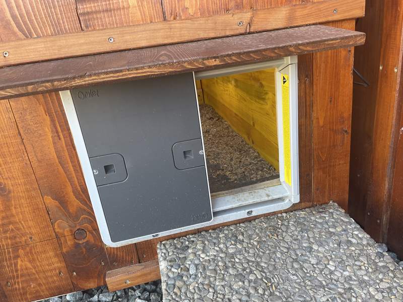 A grey Omlet automatic chicken coop door opener attached to wooden coop.