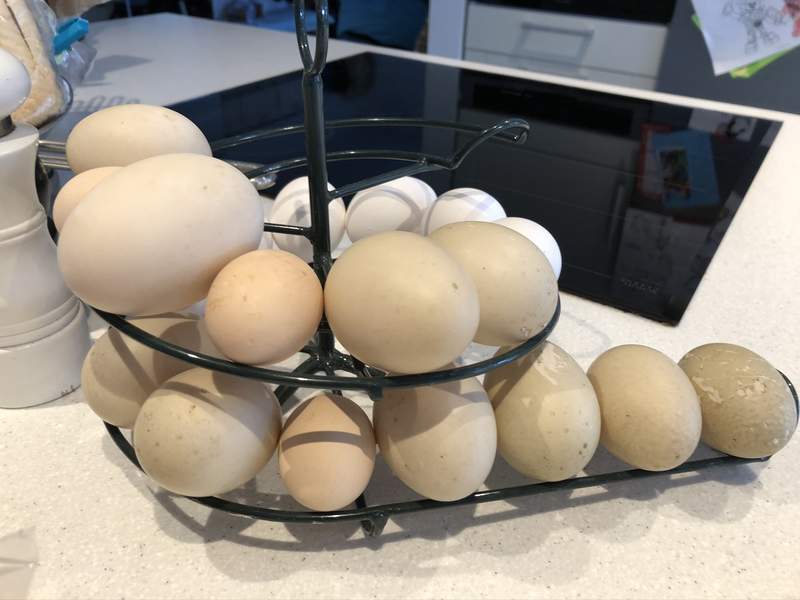 Eier in verschiedenen größen, klein und groß, auf einem hühnerhaufen