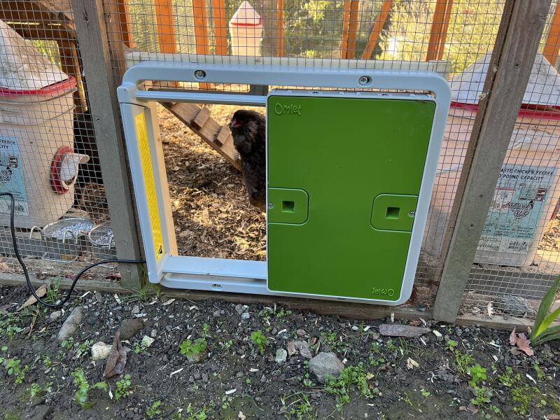 Un ouvre-porte automatique vert fixé à une enceinte