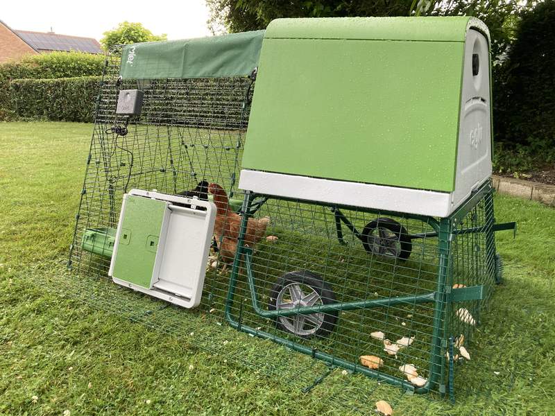 A green automatic chicken coop door opener attached to the run of a plastic coop
