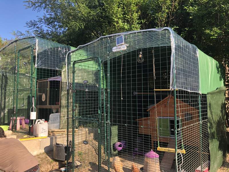 Omlet Walk in Chicken Run with Wooden Chicken Coop Inside with Omlet Green Automatic Chicken Door Attached