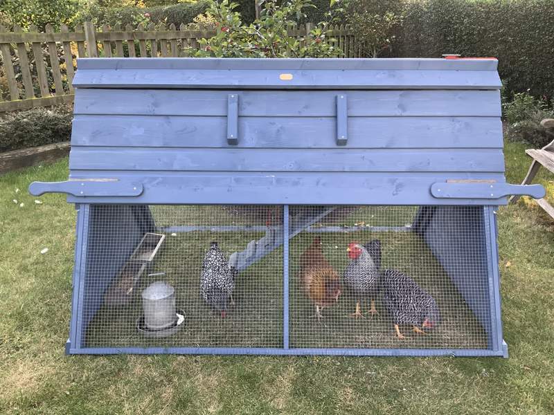 A wooden coop painted in blue