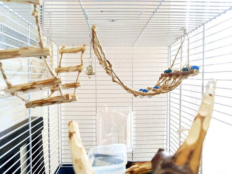 a budgie bird cage with wooden toys and accessories inside