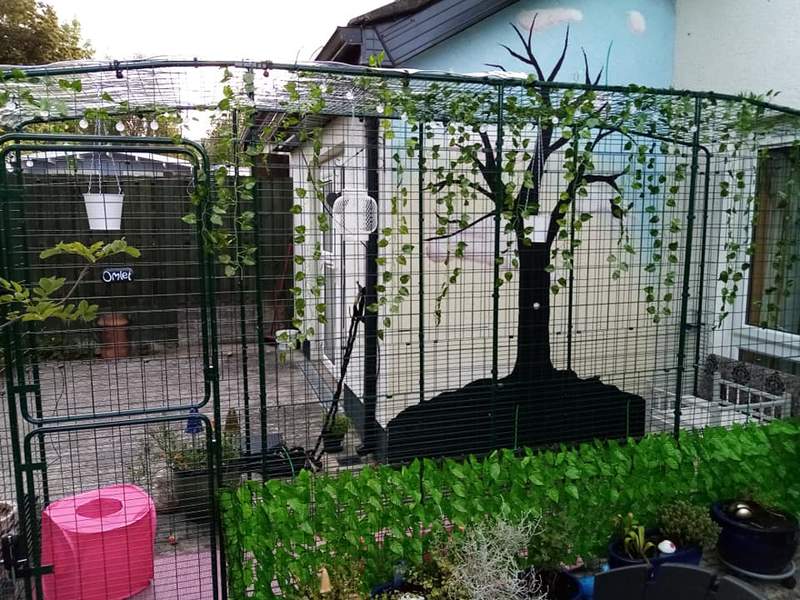 A Omlet catio decorated with plants.