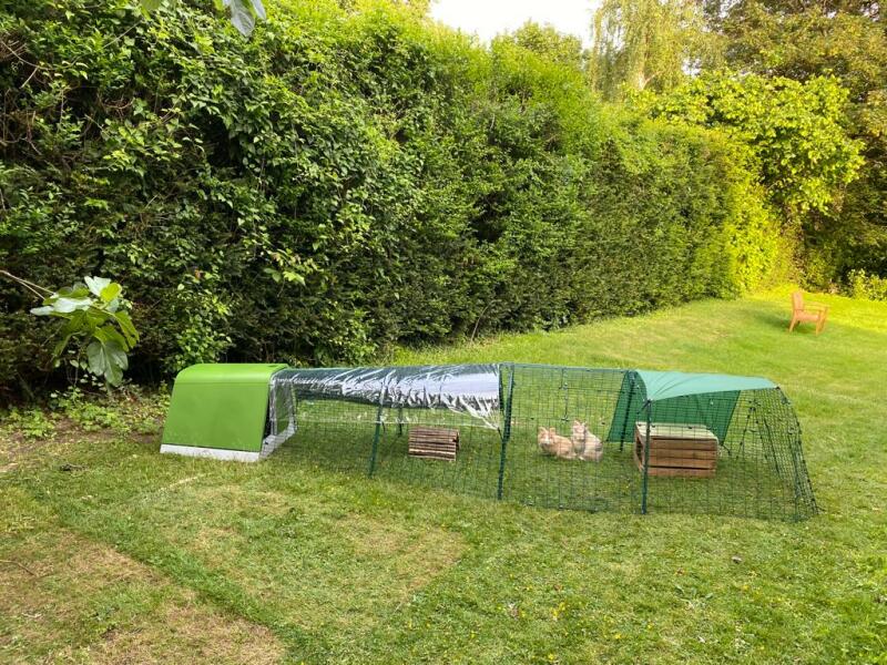 A green rabbit hutch with a four meter run