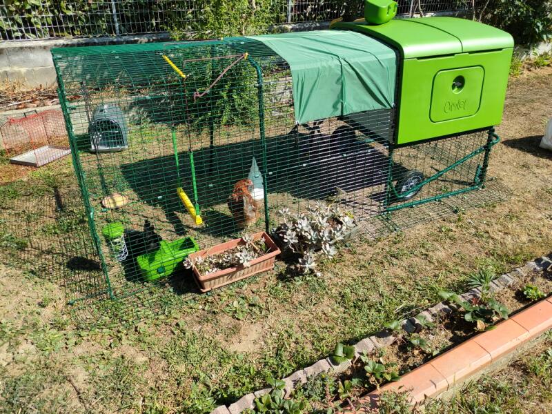 Høns inde i deres hønsegård med en 2 meter lang løbegård, med tilbehør