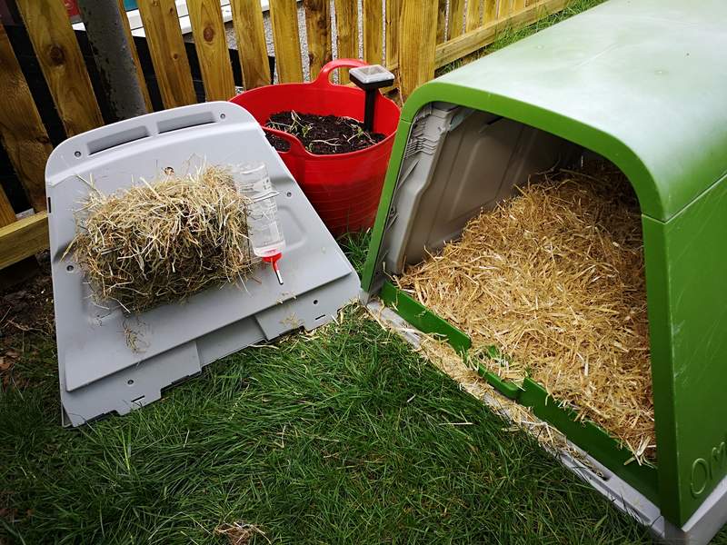 All sorted with fresh hay, water and bedding for superstar_kobie ?