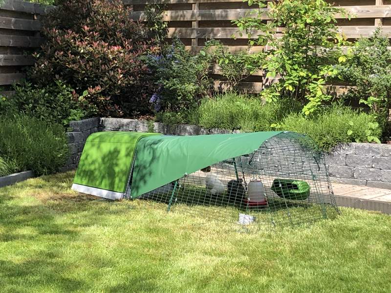 Zielony kurnik i wybieg z pokrywą, w ogrodzie