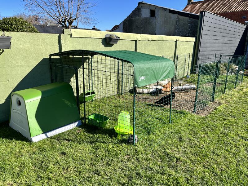 A green chicken coop attached to a low rise run