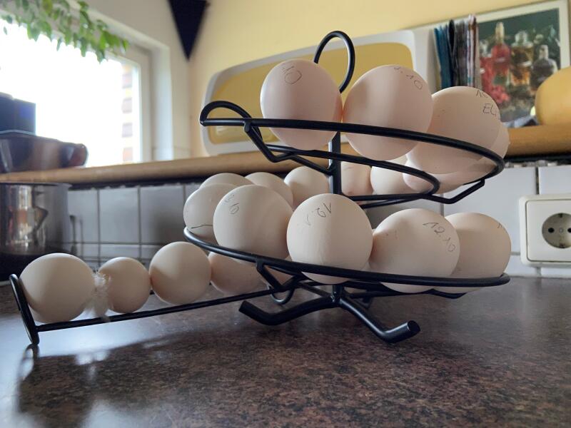 Eggs on a spiral shaped holder