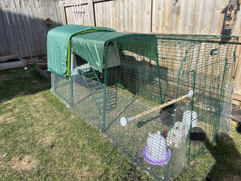 Green Eglu Cube large chicken coop and run in the garden