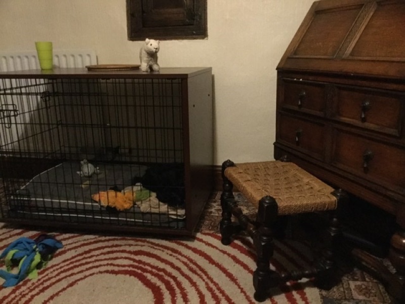 Tamaño medio para mi cachorro de cocker spaniel (actualmente tiene 15 semanas) mucho espacio para crecer pero no demasiado grande incluso ahora cuando se estira. genial con el colchón también.