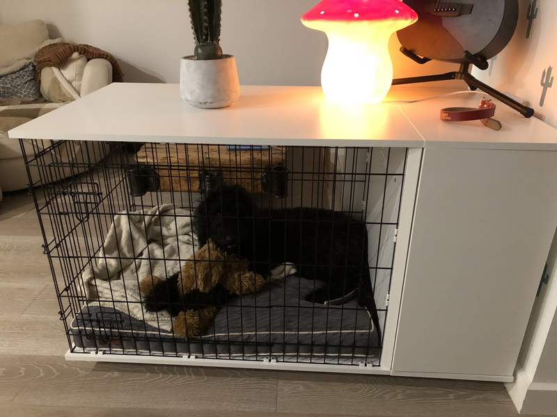 Een hond in een Fido Studio met een kleerkast eraan en een Omlet grijs hondenbed erin